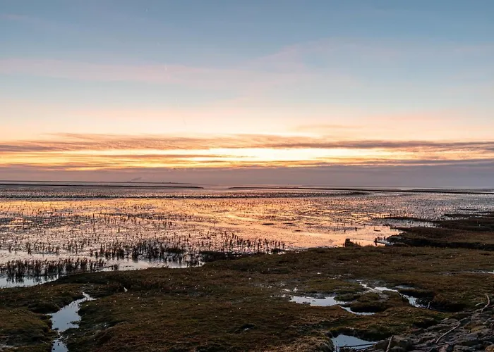 شقة Witthuus-borkum By Interhome